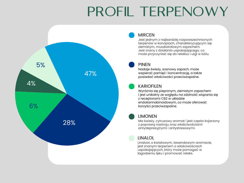 Aurora Cannabis flos Equiposa