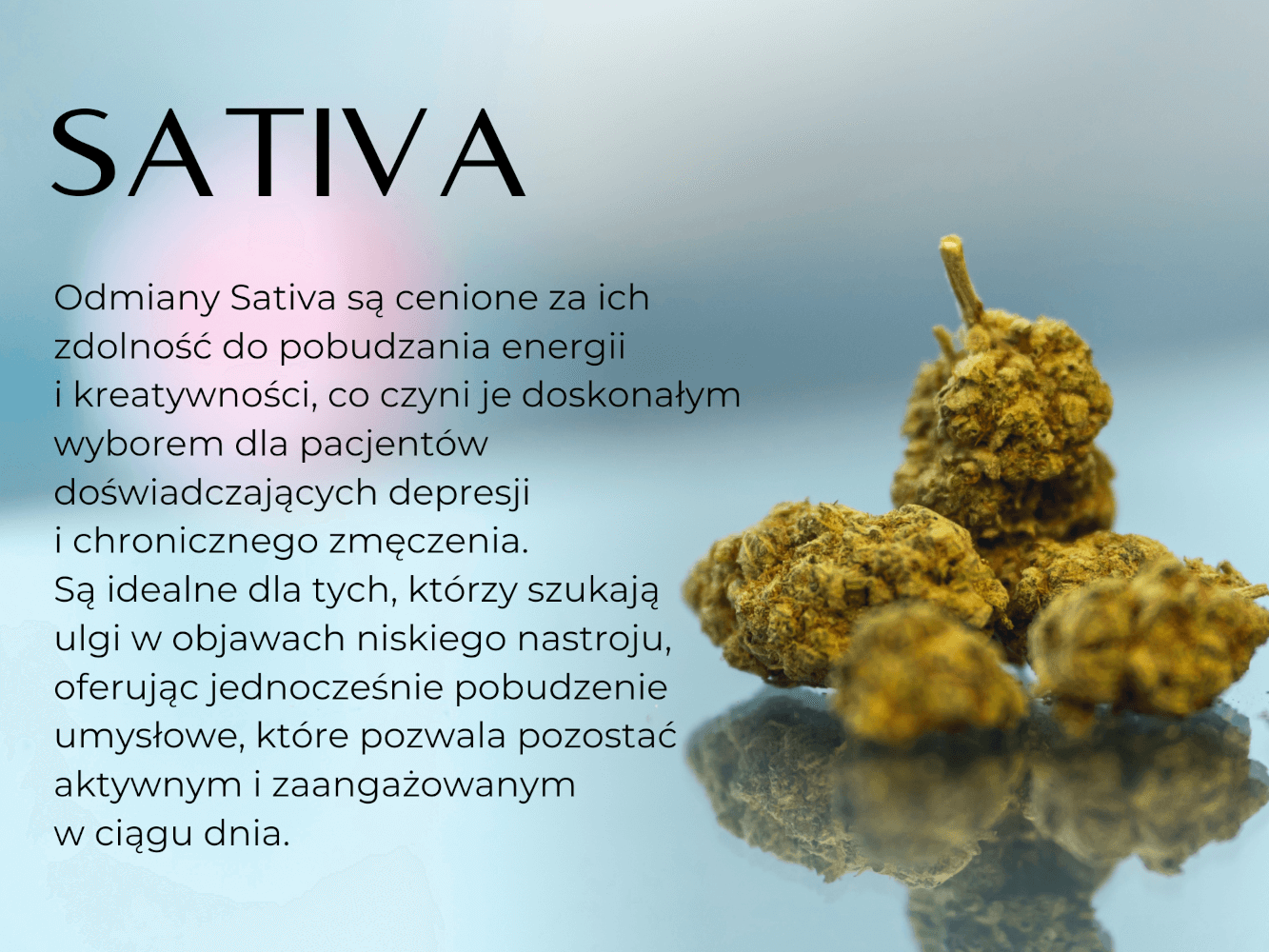 GRAFIKA SATIVA