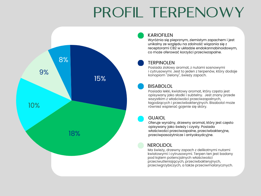 ODI PHARMA Cannabis Flos Jean Guy