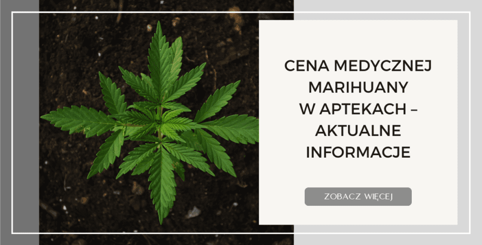 Cena Medycznej Marihuany w Aptekach – Aktualne Informacje