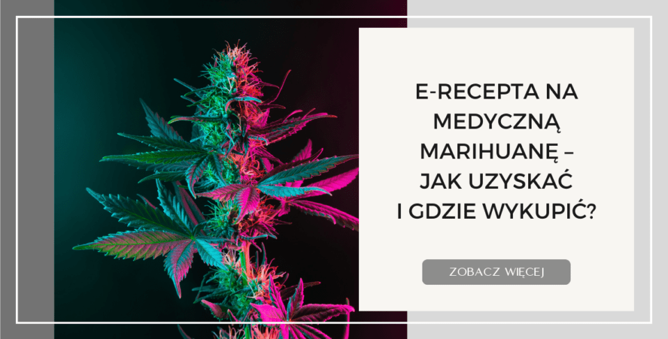 E Recepta na Medyczną Marihuanę – Jak Uzyskać i Gdzie Wykupić