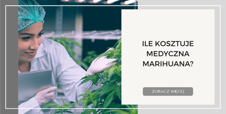 ILE KOSZTUJE MEDYCZNA MARIHUANA