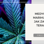 MEDYCZNA MARIHUANA   JAK ZACZĄĆ TERAPIĘ