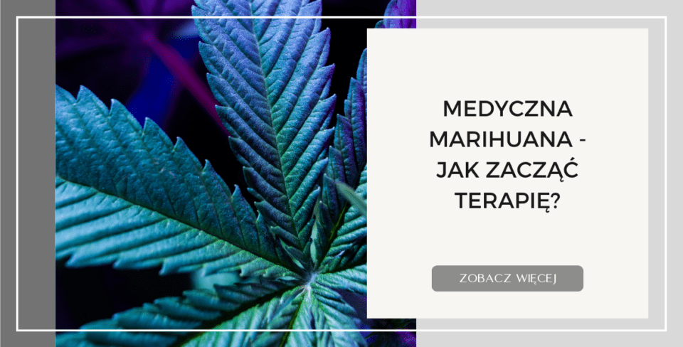 MEDYCZNA MARIHUANA   JAK ZACZĄĆ TERAPIĘ