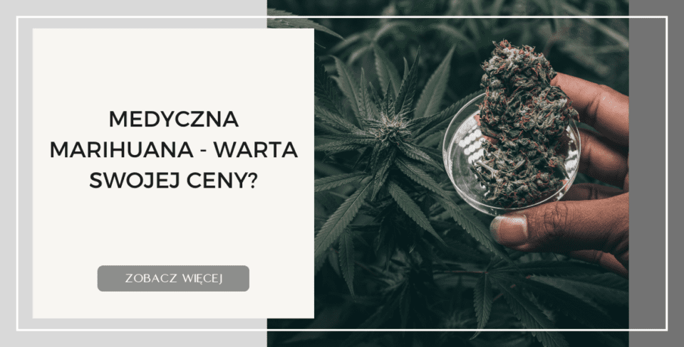 MEDYCZNA MARIHUANA   WARTA SWOJEJ CENY