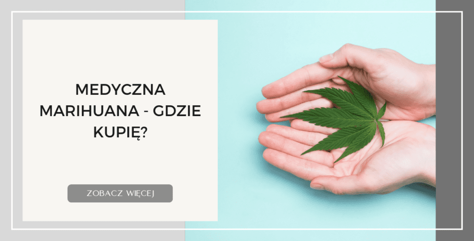 Medyczna marihuaną apteka