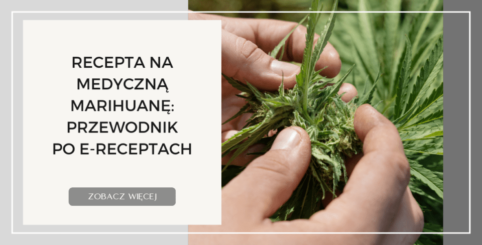 Recepta na Medyczną Marihuanę  Przewodnik po E Receptach