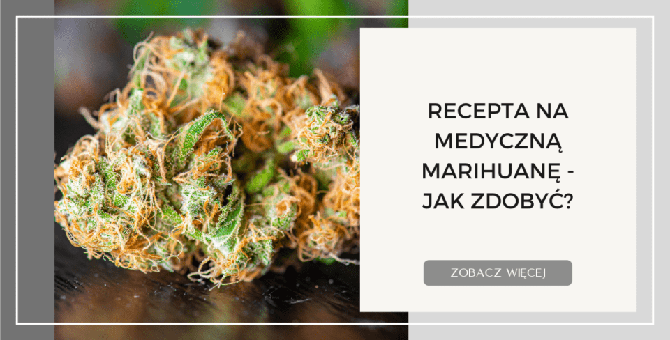 Recepta na medyczną marihuanę   jak zdobyć