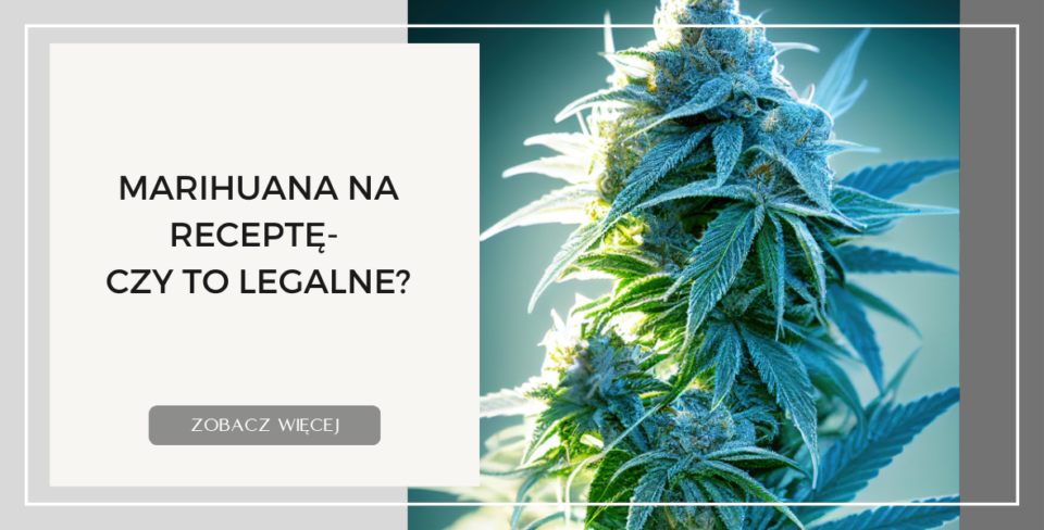 marihuana na receptę   czy to legalne