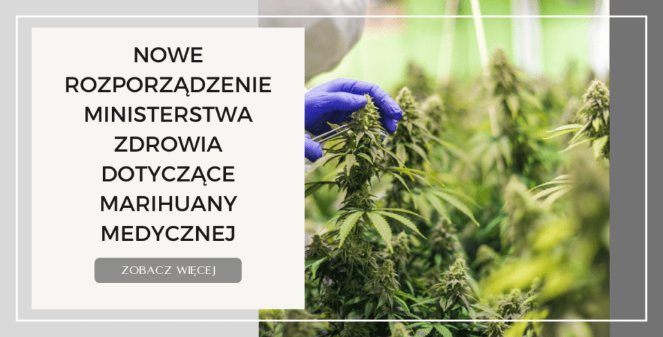 Nowe rozporządzenie Ministra Zdrowia w sprawie medycznej marihuany